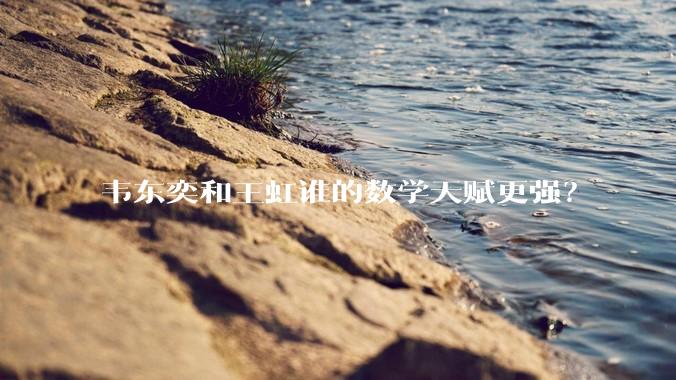 韦东奕和王虹谁的数学天赋更强？